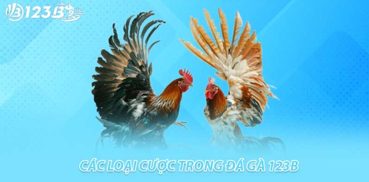 Hướng dẫn cách chơi game đá gà chi tiết nhất