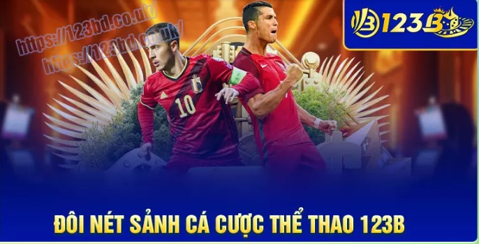 Giới thiệu chung về chuyên mục thể thao 123B