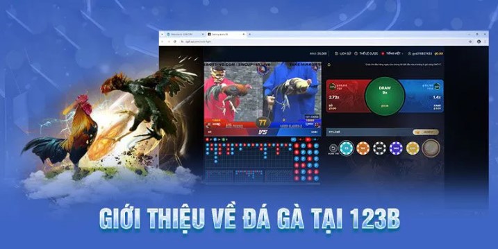 Game đá gà 123B được yêu thích hàng đầu hiện nay